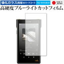 SONY ウォークマン NW-WM1ZM2 NW-WM1AM2 保護 フィルム 高硬度9H ブルーライトカット クリア光沢 jgs bgt