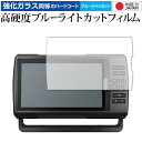 GARMIN STRIKER Vivid 9sv 保護 フィルム 強化ガラス と 同等の 高硬度9H ブルーライトカット クリア光沢 メール便送料無料 jgs ...