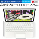 iPad Pro 12.9インチ用 Magic Keyboard トラックパッド 専用 強化ガラス と 同等の 高硬度9H ブルーライトカット クリア光沢 保護フィルム メール便送料無料