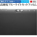 ＼5日はポイント10倍／ JENESIS Geanee JT10LTE-X1 [ カメラ周辺部用 ] 保護フィルム 強化ガラス と 同等の 高硬度9H ブルーライトカット クリア光沢 メール便送料無料