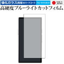HiBy Music HiBy R8 II 液晶保護 フィルム 強化ガラス と 同等の 高硬度9H ブルーライトカット クリア光沢 メール便送料無料 jgs b...