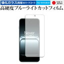 OnePlus 13T 液晶保護 フィルム 強化ガラス と 同等の 高硬度9H ブルーライトカット クリア光沢 メール便送料無料(2)