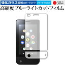 LEOMO TYPE-S 専用 強化ガラス と 同等の 高硬度9H ブルーライトカット クリア光沢 液晶保護フィルム メール便送料無料 jgs bgt 互換品