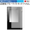 Onkyo rubato DP-S1A DP-S1 Pioneer private XDP-20 XDP-30R 専用 強化 ガラスフィルム と 同等の 高硬度...