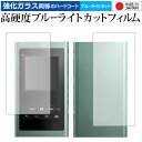 ウォークマン NW-A50シリーズ 両面セット 専用 強化 ガラスフィルム と 同等の 高硬度9H ブルーライトカット クリア光沢 液晶保護フィルム メール便送...