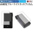 ＼30日はポイント最大5倍／ Cayin N6ii DAP T01 DAP A01 両面セット 専用 強化 ガラスフィルム と 同等の 高硬度9H ブルーライトカット クリア光沢 液晶保護フィルム メール便送料無料