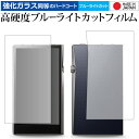 A&futura SE100 専用 強化 ガラスフィルム と 同等の 高硬度9H ブルーライトカット クリア光沢 液晶保護フィルム メール便送料無料 jgs b...