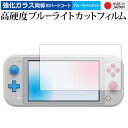 ＼30日はポイント最大5倍／ Nintendo Switch Lite ザシアン ザマゼンタ ディアルガ パルキア 保護 フィルム 強化 ガラスフィルム と 同等の 高硬度9H ブルーライトカット クリア光沢 液晶保護フィルム メール便送料無料