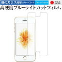 Apple iPhone SE 2016年版