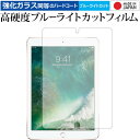 Apple iPad Pro(9.7) p  KXtB   dx9H u[CgJbg NA tیtB [֑