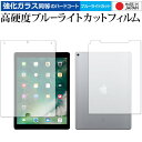 Apple iPad Pro 12.9C` (2017N)ʃZbg p KX   dx9H u[CgJbg NA tیtB [֑