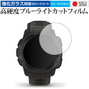 GARMIN Instinct (2枚組) 専用 強化 ガラスフィルム と 同等の 高硬度9H ブルーライトカット クリア光沢 液晶保護フィルム メール便送料無...