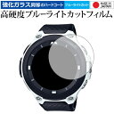 PRO TREK Smart WSD-F20X / WSD-F20(2枚組) 用 専用 強化 ガラスフィルム と 同等の 高硬度9H ブルーライトカット クリア光沢 液晶保護フィルム メール便送料無料