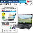 NEC LaVie Light BL100 TA PC-BL100TA 10.1インチ 機種で使える 強化 ガラスフィルム と 同等の 高硬度9H ブルーライトカット クリア光沢 液晶保護フィルム メール便送料無料