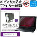 ＼30日はポイント最大5倍／ Lenovo ThinkPad X1 Nano Gen 1 2021年版 13インチ 覗き見防止 のぞき見防止 プライバシー フィルター 左右からの覗き見を防止 ブルーライトカット 反射防止 メール便送料無料