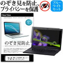 富士通 FMV LIFEBOOK SHシリーズ WS1/B3 13.3インチ 機種用 のぞき見防止 覗き見防止 プライバシー 保護フィルム ブルーライトカット 反射防止 キズ防止 メール便送料無料