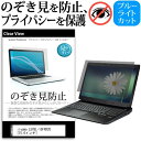 ＼1日はポイント5倍 ／ iiyama LEVEL-15FXR20 15.6インチ 機種用 のぞき見防止 覗き見防止 プライバシー 保護フィルム ブルーライトカット 反射防止 キズ防止 メール便送料無料