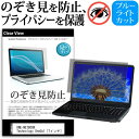 ＼30日はポイント最大5倍／ ONE-NETBOOK Technology OneGx1  機種用 のぞき見防止 覗き見防止 プライバシー 保護フィルム ブルーライトカット 反射防止 キズ防止 メール便送料無料