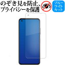 ＼5日はポイント10倍／ エイスース ZenFone 10 [ AI2302 ] 液晶保護 フィルム 180度左右覗き見防止フィルム