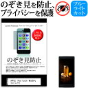 ＼25日はポイント10倍!!／ APPLE iPod tou