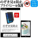 Acer Switch One SW1-011-F12N 10.1インチ 覗き見防止 のぞき見防止 プライバシー 保護 フィルム 左右2方向 180度 反射防止 ブルーライトカット jgs bgt(2)