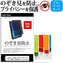 【10/5限定】100%ポイントバックチャンス＆全品ポイント2倍！ Lenovo TAB4 10 Plus 10.1インチ 覗き見防止 のぞき見防止 プライバシー 保護 フィルム 左右2方向 180度 反射防止 ブルーライトカット