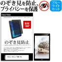 ＼30日はポイント最大5倍／ Orbic Orbic TAB8 4G  覗き見防止 のぞき見防止 プライバシー 保護 フィルム 左右2方向 180度 反射防止 ブルーライトカット メール便送料無料