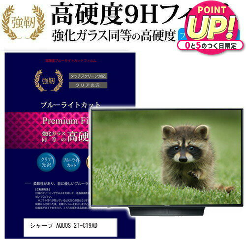 シャープ AQUOS 2T-C19AD [19インチ] 機種