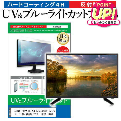 SONY BRAVIA KJ-55X9000F 55インチ 液晶 テ