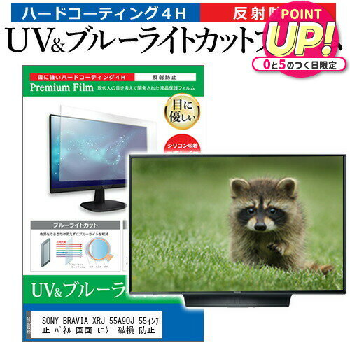 SONY BRAVIA XRJ-55A90J 55インチ 液晶 テレ