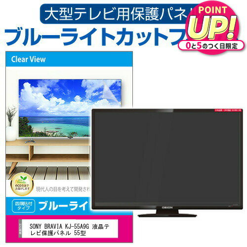 SONY BRAVIA KJ-55A9G 液晶テレビ保護パネ
