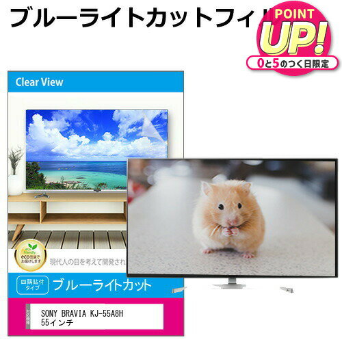 SONY BRAVIA KJ-55A8H 液晶テレビ保護パネ