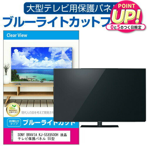 SONY BRAVIA KJ-55X9500H 液晶テレビ保護パ