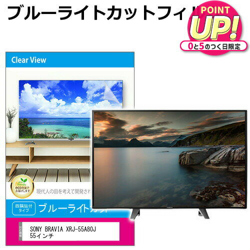 SONY BRAVIA XRJ-55A80J 液晶テレビ保護パ