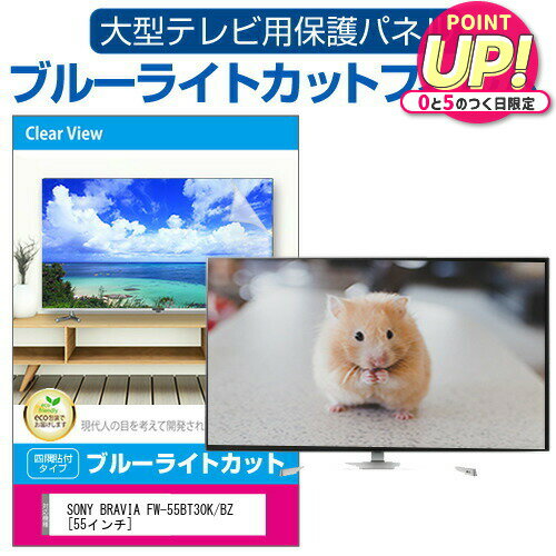 SONY BRAVIA FW-55BT30K/BZ [55インチ] 液晶