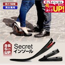 \20日はP最大5倍!!/ シークレットインソール 22.5cm〜27.0cm 3層 調整可能 快適 インソール レディース メンズ 兼用 最大6cm 6cm ...