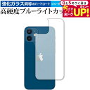 \30日は最大P5倍!!/ Apple iPhone12 mini 背面 専用 強化ガラス と 同等の 高硬度9H ブルーライトカット クリア光沢 保護フィルム メール便送料無料 jgs bgt 互換品