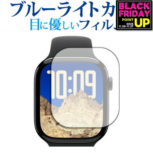 Apple Watch Series 10 [ ケースサイズ 42mm用 ] 液晶保護 フィルム ブルーライトカット 反射防止 保護..