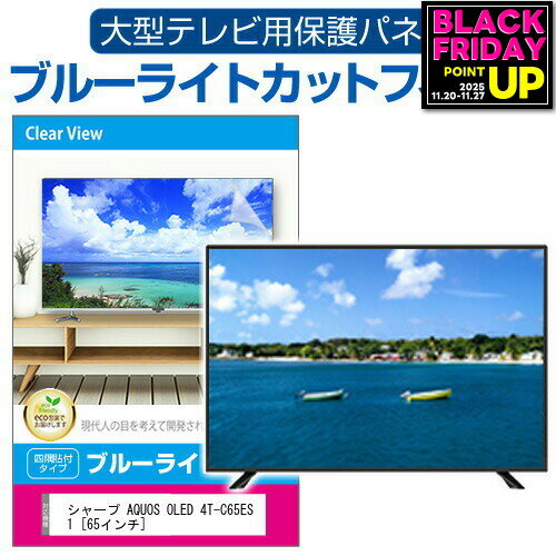 シャープ AQUOS OLED 4T-C65ES1 [65インチ] 液晶テレビ保護パネル 65型 ブルーライトカット テレビ保護パネル 65インチ 保護 フィルム 画面 モニター 破損 防止 有機ELテレビ UV 保護 テレビガード 薄型 カバー メール便送料無料 jgs bgt 互換品 有償交換保証付き