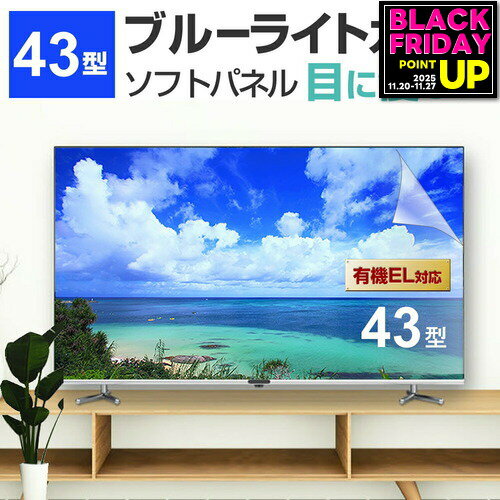 液晶テレビ保護パネル 43型 ブルーライトカット テレビ保護パネル 43インチ bravia ブラビア viera ビエラ regza レグザ 保護 フィルム 画面 モニター 破損 防止 UV 保護 テレビガード 薄型 カバー メール便 送料無料 jgs bgt 互換品