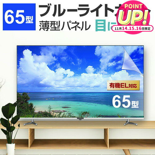 液晶テレビ保護パネル 65型 ブルーライトカット テレビ保護