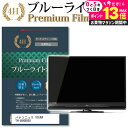 パナソニック VIERA TH-49HX850 機種で使える ブルーライトカット 指紋防止 液晶保護フィルム メール便送料無料 jgs bgt