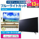 パナソニック VIERA TH-55HZ1000 液晶テレビ保護パネル 55型 ブルーライトカット テレビ保護パネル 55インチ 保護 フィルム 画面 モニター 破損 防止 有機ELテレビ UV 保護 テレビガード 薄型 カバー jgs bgt