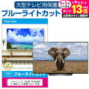 パナソニック VIERA TH-65JX950 液晶テレビ保護パネル 65型 ブルーライトカット テレビ保護パネル 65インチ 保護 フィルム 画面 モニター 破損 防止 有機ELテレビ UV 保護 テレビガード 薄型 カバー jgs bgt