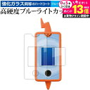 \20日はP最大13倍!!/ タカラトミー カメラでリンク! ポケモン図鑑 スマホロトム ( 2枚セット ) 液晶保護 フィルム 高硬度9H ブルーライトカット...