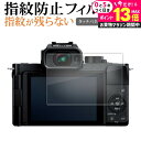 \25日はP最大13倍!!/ パナソニック LUMIX G100D 液晶保護 フィルム 指紋防止 クリア光沢 画面保護 シート メール便送料無料 jgs bgt