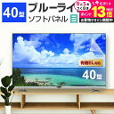 \20日はP最大13倍!!/ 液晶テレビ保護パネル 40型 ブルーライトカット テレビ保護パネル 40インチ bravia ブラビア viera ビエラ regza レグザ 保護 フィルム 画面 モニター 破損 防止 UV 保護 テレビガード 薄型 カバー メール便 送料無料 jgs bgt