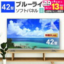 \20日はP最大13倍!!/ 液晶テレビ保護パネル 42型 ブルーライトカット テレビ保護パネル 42インチ bravia ブラビア viera ビエラ regza レグザ 保護 フィルム 画面 モニター 破損 防止 UV 保護 テレビガード 薄型 カバー メール便 送料無料 jgs bgt