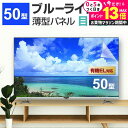 \20日はP最大13倍!!/ 液晶テレビ保護パネル 50型 ブルーライトカット テレビ保護パネル 50インチ bravia ブラビア viera ビエラ regza レグザ 保護 フィルム 画面 モニター 破損 防止 UV 保護 テレビガード 薄型 カバー メール便 送料無料 jgs bgt