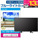 ＼10日はポイント10倍 ／ 東芝 REGZA 55C340X 液晶テレビ保護パネル 55型 ブルーライトカット テレビ保護パネル 55インチ 保護 フィルム 画面 モニター 破損 防止 有機ELテレビ UV 保護 テレビガード 薄型 カバー